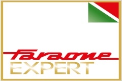 Logo Faraone Expert